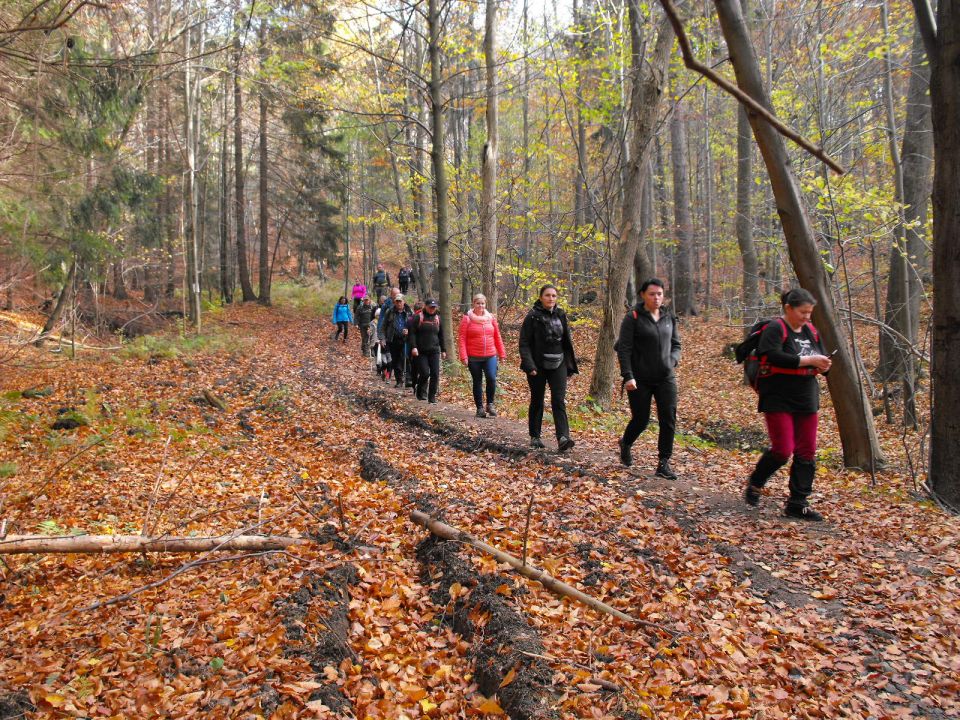 Wycieczka w Góry Sowie s002 - PTTK Strzelin