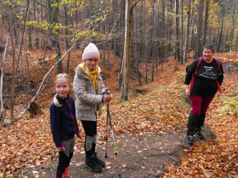 Wycieczka w Góry Sowie s92 - PTTK Strzelin