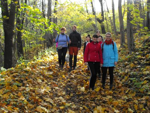 Wycieczka w Góry Sowie s120 - PTTK Strzelin