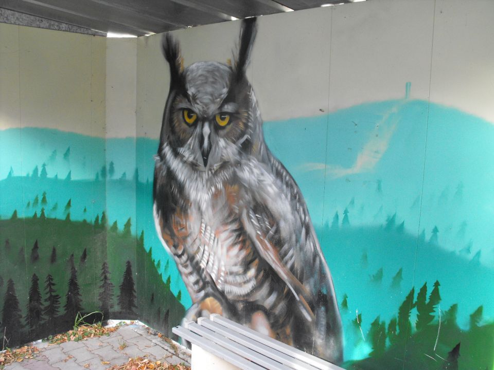 Wycieczka w Góry Sowie s002 - PTTK Strzelin