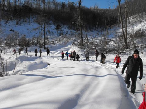 Wycieczka w Góry Sowie s15 - PTTK Strzelin