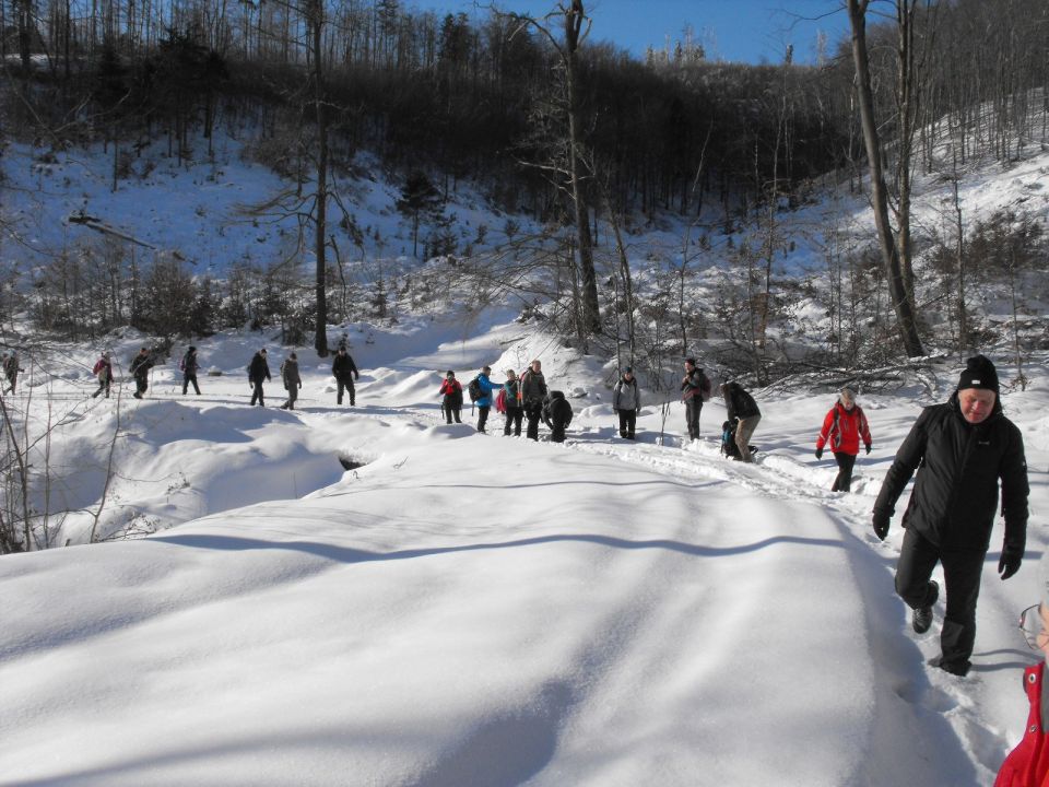 Wycieczka w Góry Sowie s002 - PTTK Strzelin