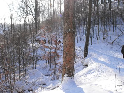 Wycieczka w Góry Sowie s21 - PTTK Strzelin
