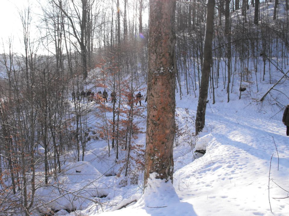 Wycieczka w Góry Sowie s002 - PTTK Strzelin