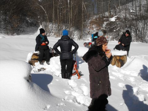 Wycieczka w Góry Sowie s31 - PTTK Strzelin