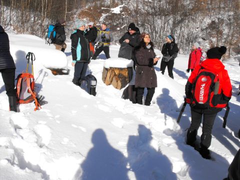 Wycieczka w Góry Sowie s34 - PTTK Strzelin
