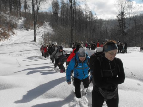 Wycieczka w Góry Sowie s35 - PTTK Strzelin