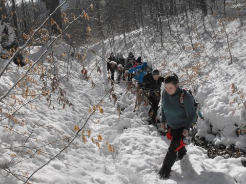 Wycieczka w Góry Sowie s36 - PTTK Strzelin