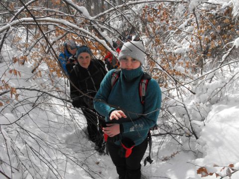 Wycieczka w Góry Sowie s37 - PTTK Strzelin