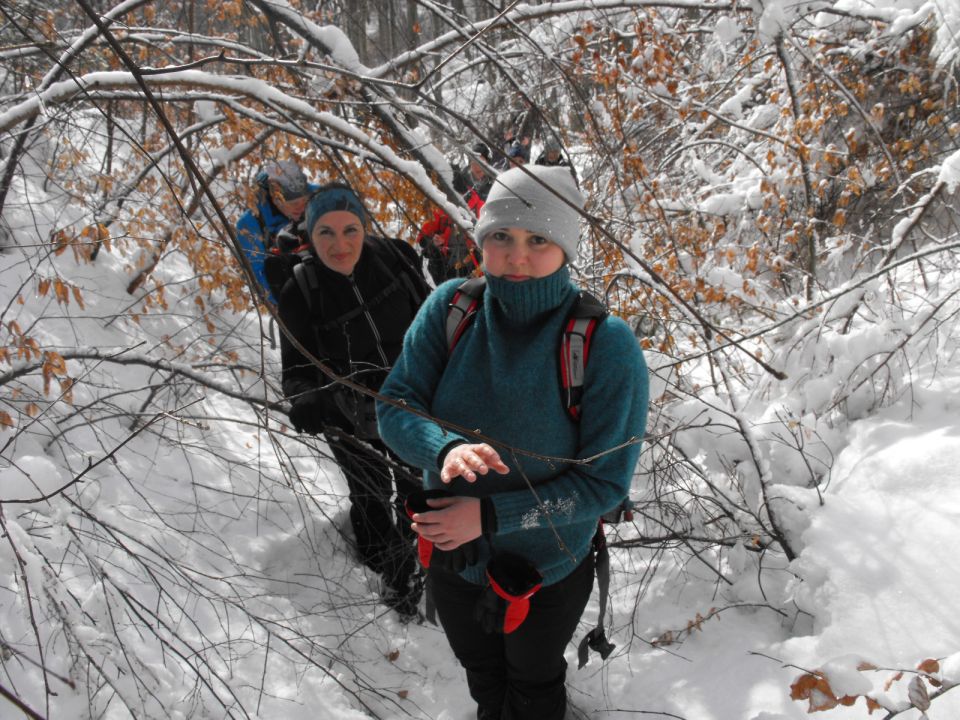 Wycieczka w Góry Sowie s002 - PTTK Strzelin