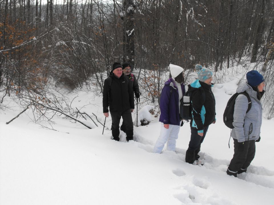 Wycieczka w Góry Sowie s002 - PTTK Strzelin