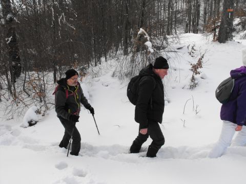 Wycieczka w Góry Sowie s43 - PTTK Strzelin