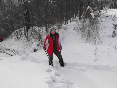 Wycieczka w Góry Sowie s44 - PTTK Strzelin