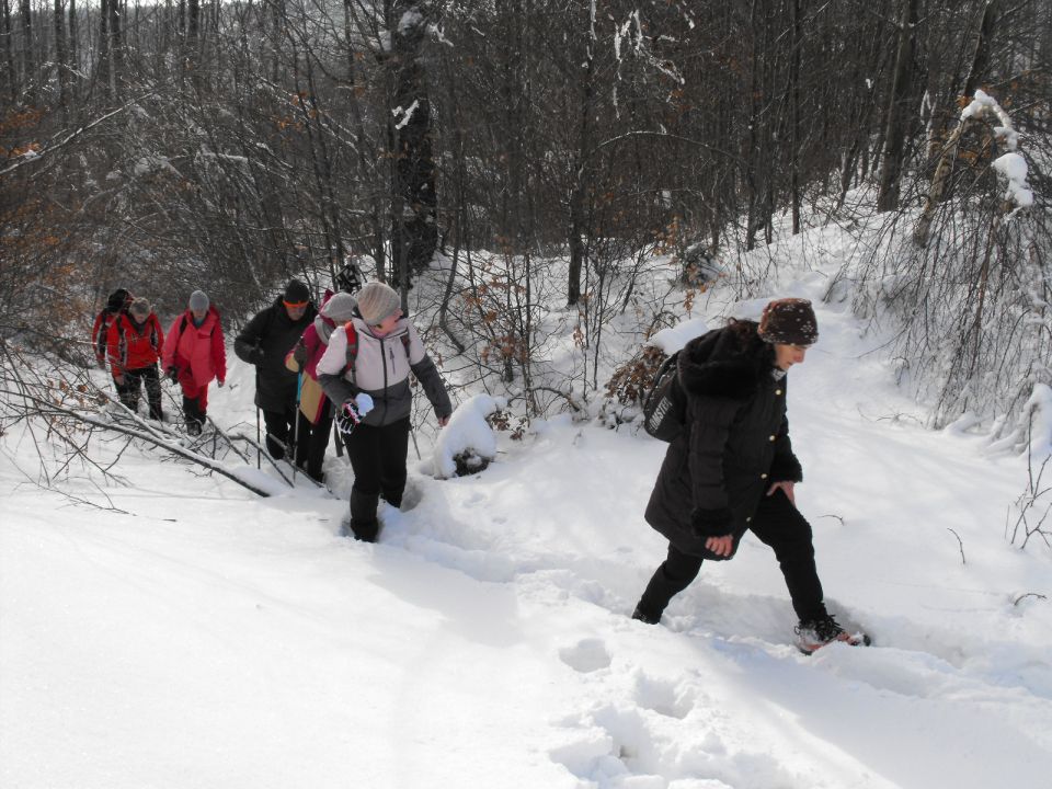 Wycieczka w Góry Sowie s002 - PTTK Strzelin