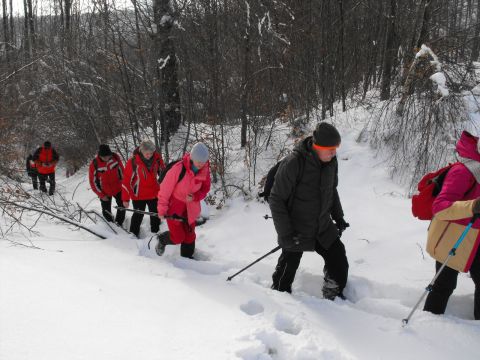 Wycieczka w Góry Sowie s46 - PTTK Strzelin