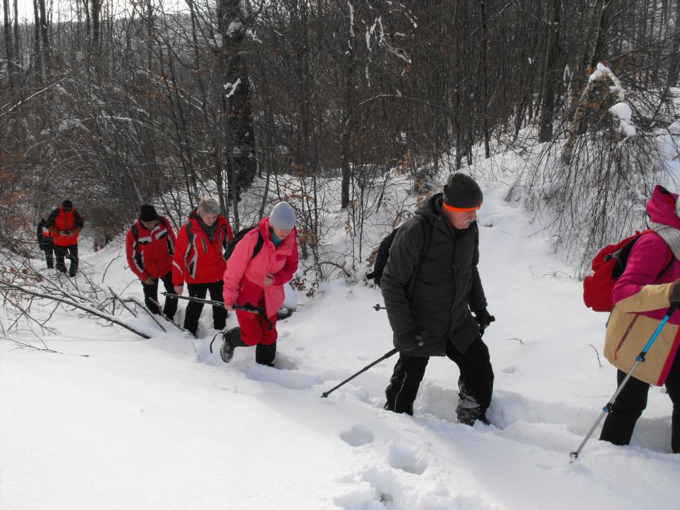 Wycieczka w Góry Sowie s002 - PTTK Strzelin