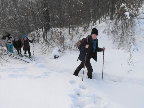 Wycieczka w Góry Sowie s49 - PTTK Strzelin