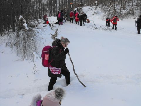 Wycieczka w Góry Sowie s53 - PTTK Strzelin