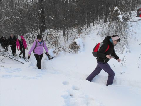 Wycieczka w Góry Sowie s54 - PTTK Strzelin
