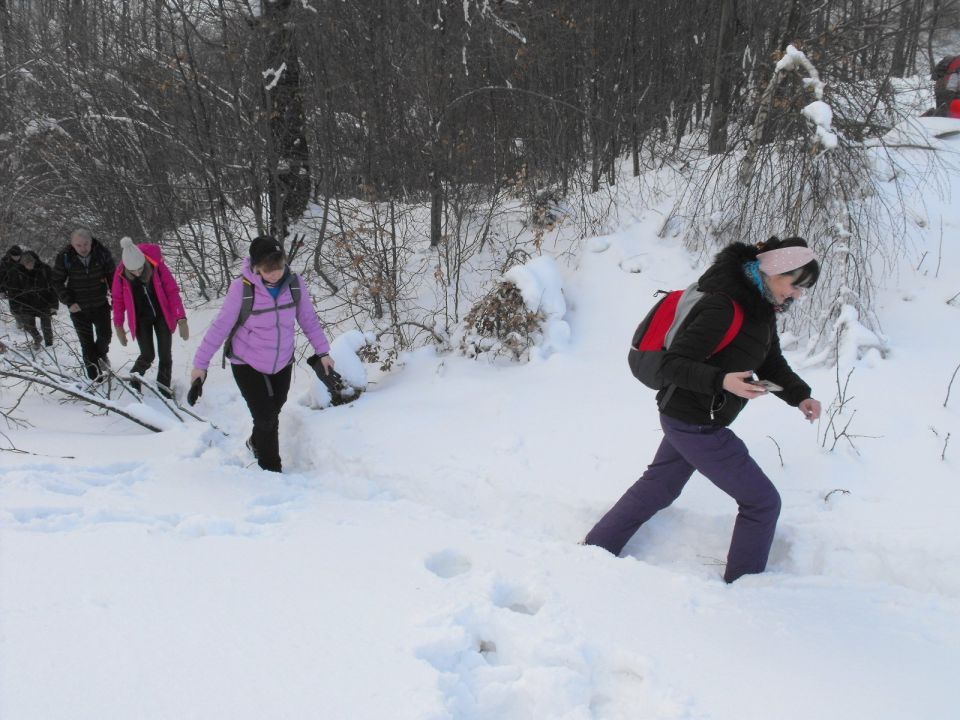 Wycieczka w Góry Sowie s002 - PTTK Strzelin