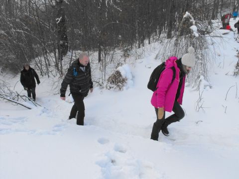 Wycieczka w Góry Sowie s55 - PTTK Strzelin