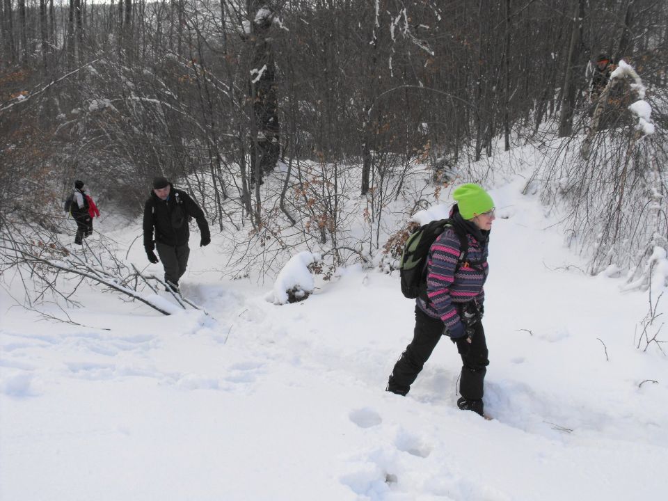 Wycieczka w Góry Sowie s002 - PTTK Strzelin