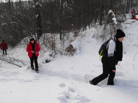 Wycieczka w Góry Sowie s60 - PTTK Strzelin