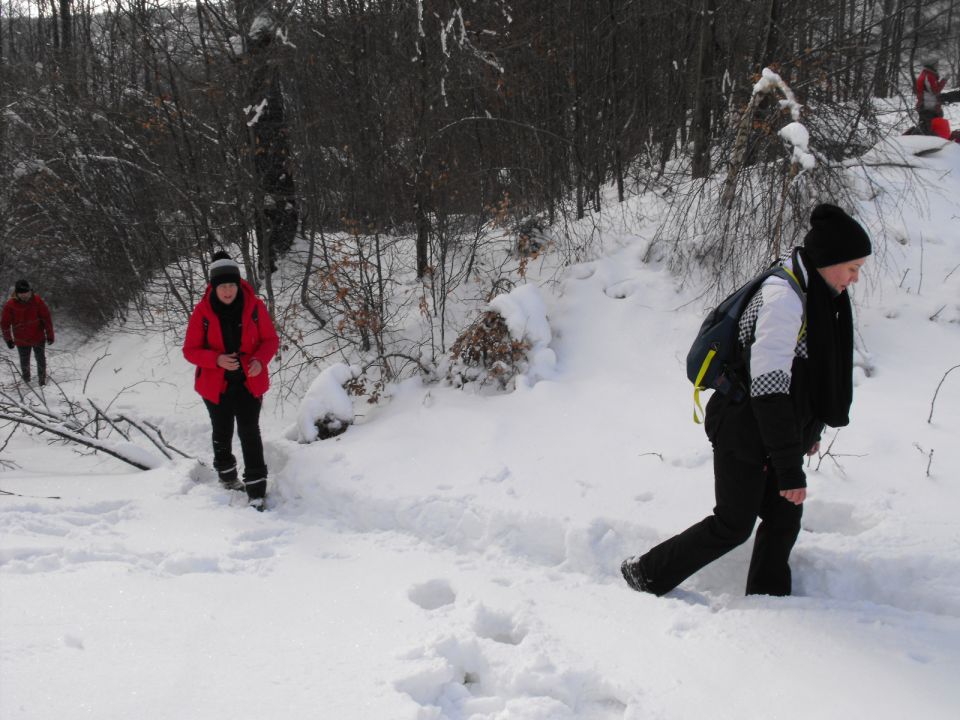 Wycieczka w Góry Sowie s002 - PTTK Strzelin