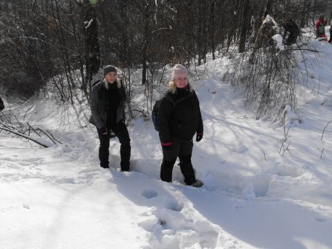 Wycieczka w Góry Sowie s62 - PTTK Strzelin