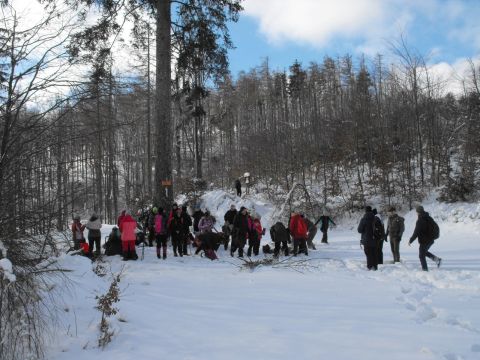 Wycieczka w Góry Sowie s63 - PTTK Strzelin