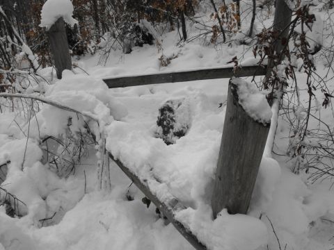 Wycieczka w Góry Sowie s79 - PTTK Strzelin