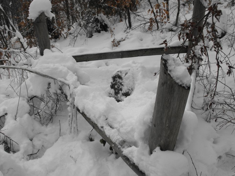 Wycieczka w Góry Sowie s002 - PTTK Strzelin