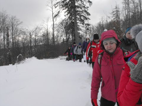 Wycieczka w Góry Sowie s87 - PTTK Strzelin