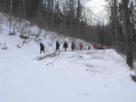 Wycieczka w Góry Sowie s91 - PTTK Strzelin