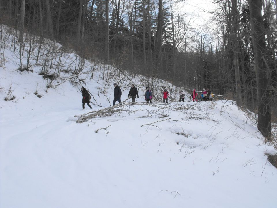 Wycieczka w Góry Sowie s002 - PTTK Strzelin