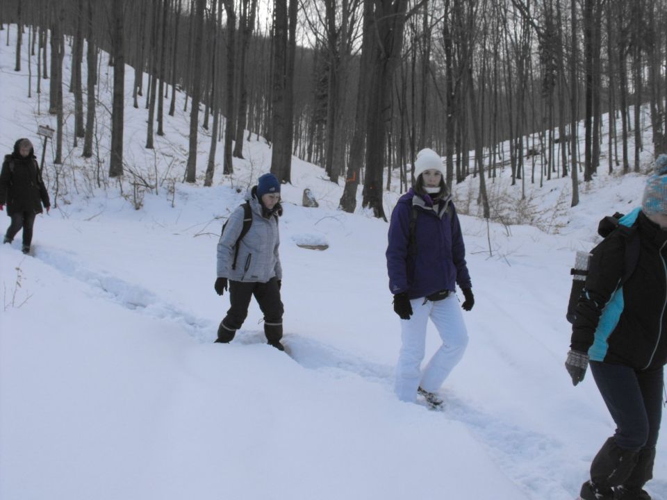 Wycieczka w Góry Sowie s002 - PTTK Strzelin