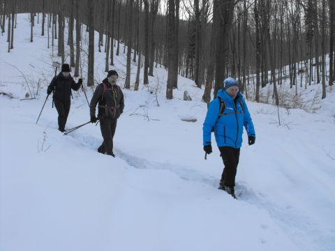 Wycieczka w Góry Sowie s101 - PTTK Strzelin