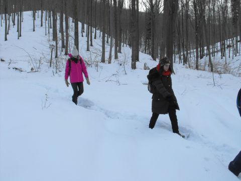 Wycieczka w Góry Sowie s103 - PTTK Strzelin