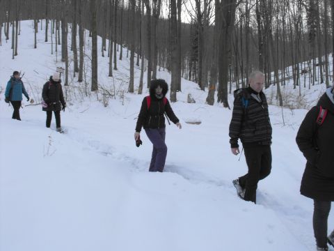 Wycieczka w Góry Sowie s105 - PTTK Strzelin