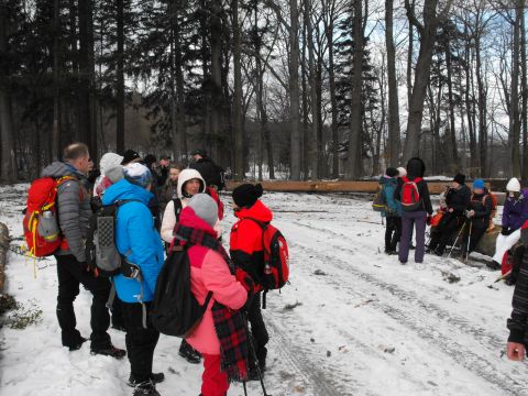 Wycieczka w Góry Sowie s111 - PTTK Strzelin