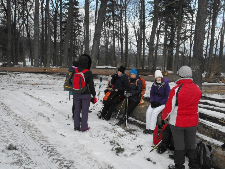 Wycieczka w Góry Sowie s002 - PTTK Strzelin