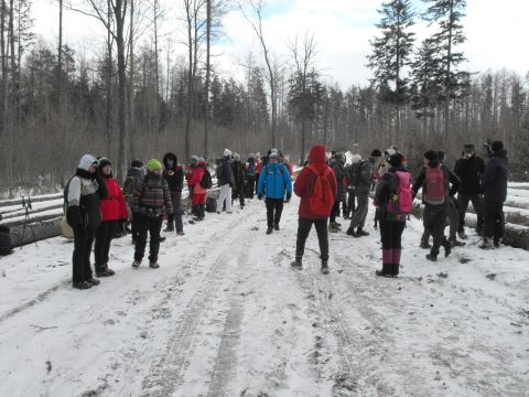 Wycieczka w Góry Sowie s113 - PTTK Strzelin