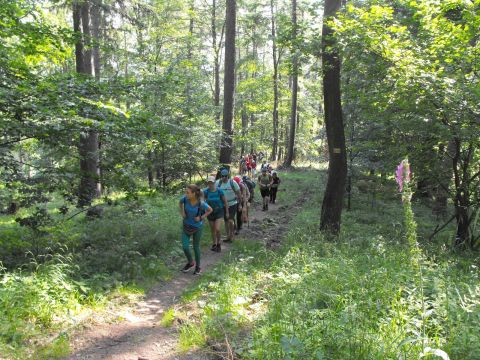 Wycieczka w Góry Sowie s11 - PTTK Strzelin