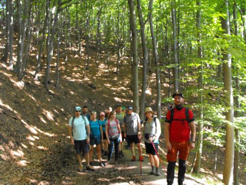 Wycieczka w Góry Sowie s12 - PTTK Strzelin