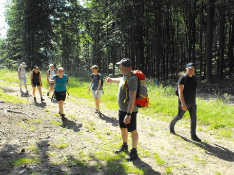 Wycieczka w Góry Sowie s14 - PTTK Strzelin