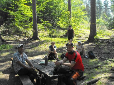 Wycieczka w Góry Sowie s16 - PTTK Strzelin