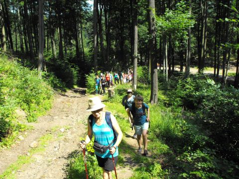 Wycieczka w Góry Sowie s27 - PTTK Strzelin