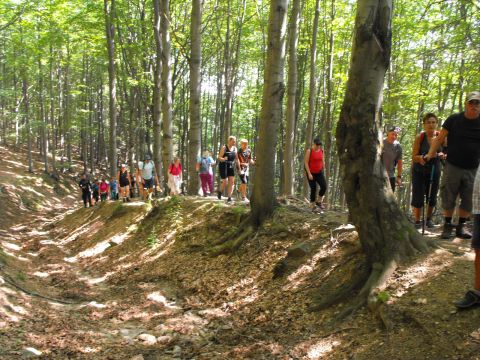 Wycieczka w Góry Sowie s28 - PTTK Strzelin