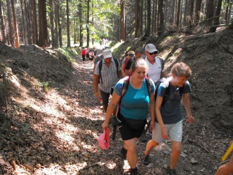 Wycieczka w Góry Sowie s29 - PTTK Strzelin