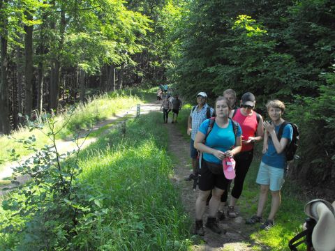 Wycieczka w Góry Sowie s30 - PTTK Strzelin